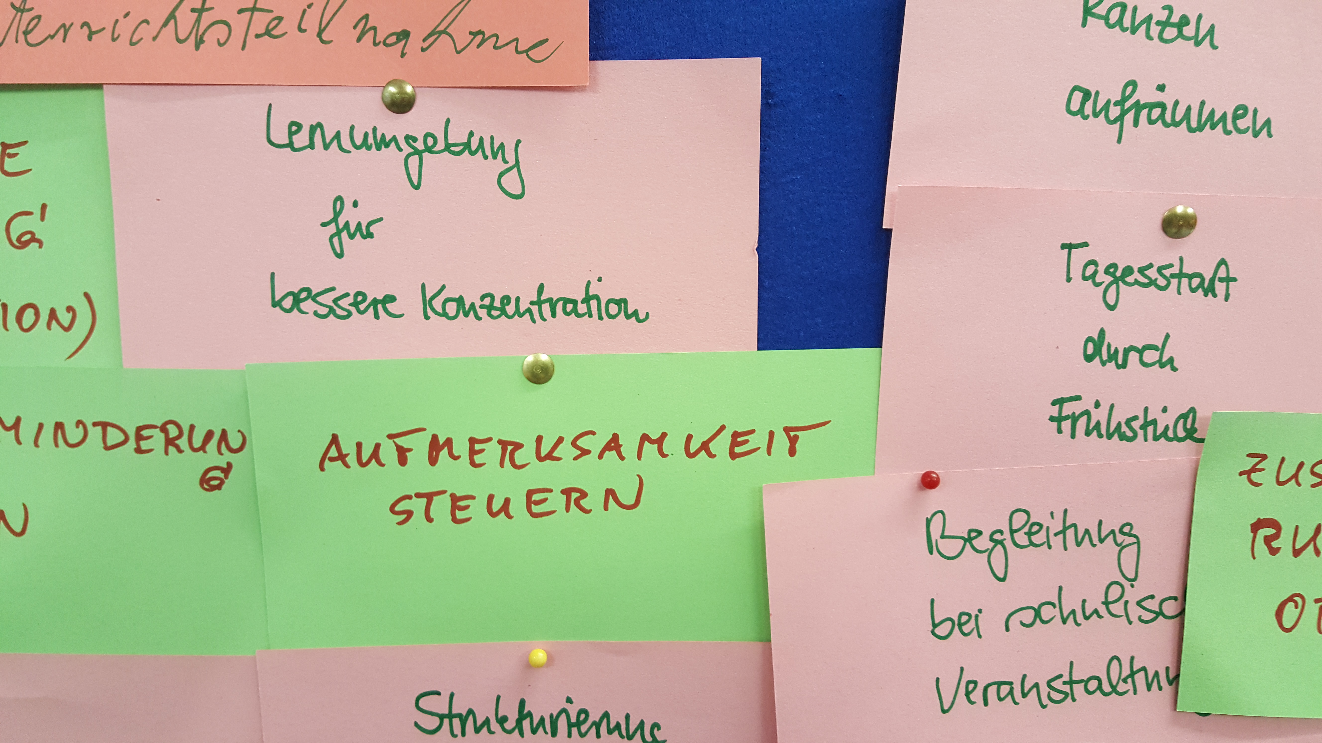 Nordlicht gGmbH - Zur Schulbegleitung Nordlicht gGmbH - Zur Schulbegleitung